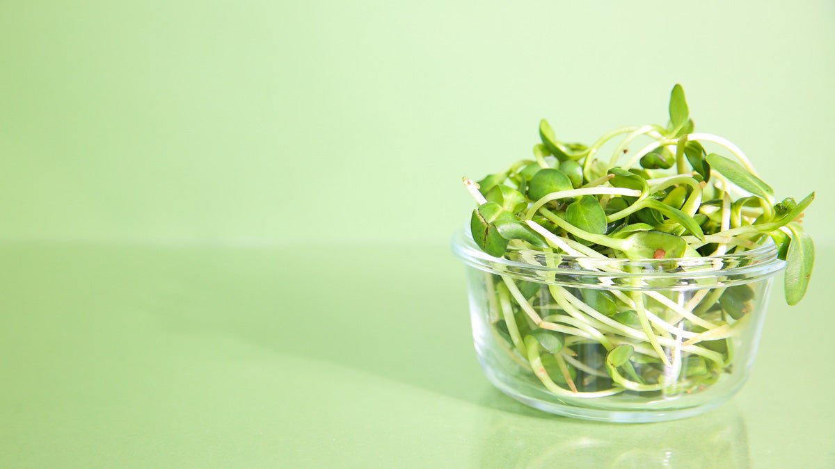 BOOKS + APPAREL - Sproutman