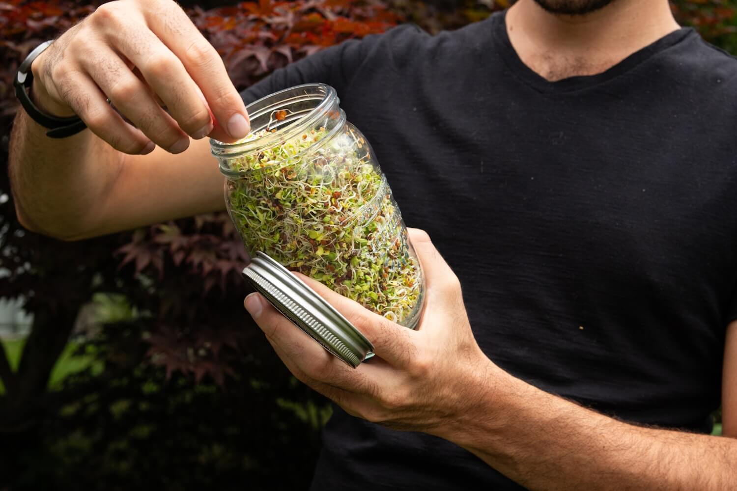 Single Jar Sprouting Starter Kit - Sproutman