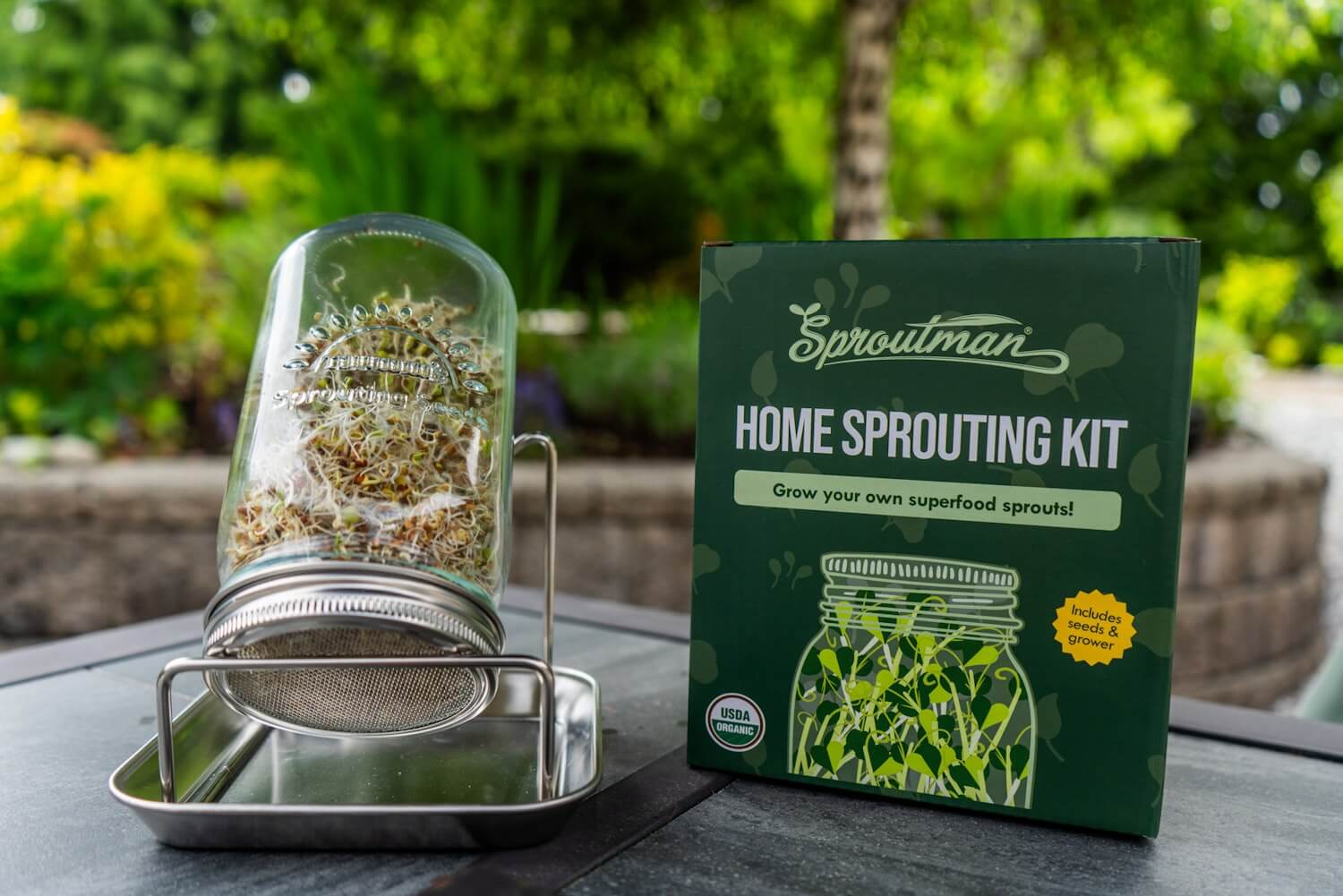 Single Jar Sprouting Starter Kit - Sproutman