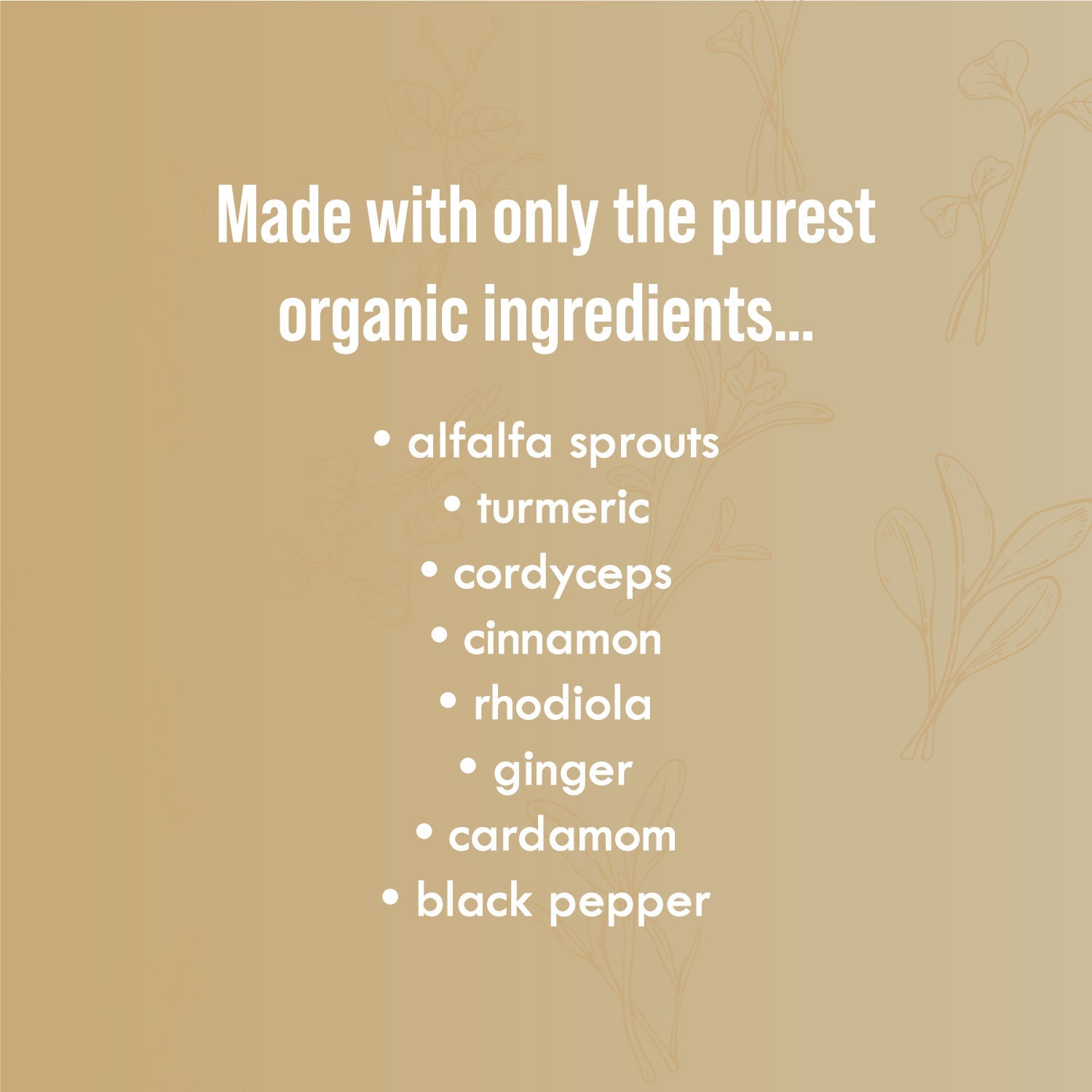 Chai Balance Sprout Powder - Sproutman