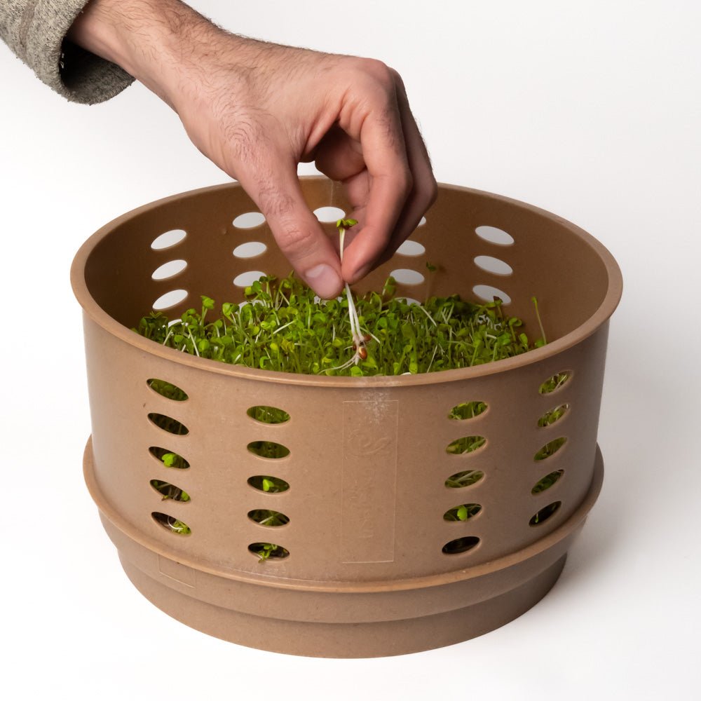 Easygreen Sol Autonomous Sprouter - Sproutman