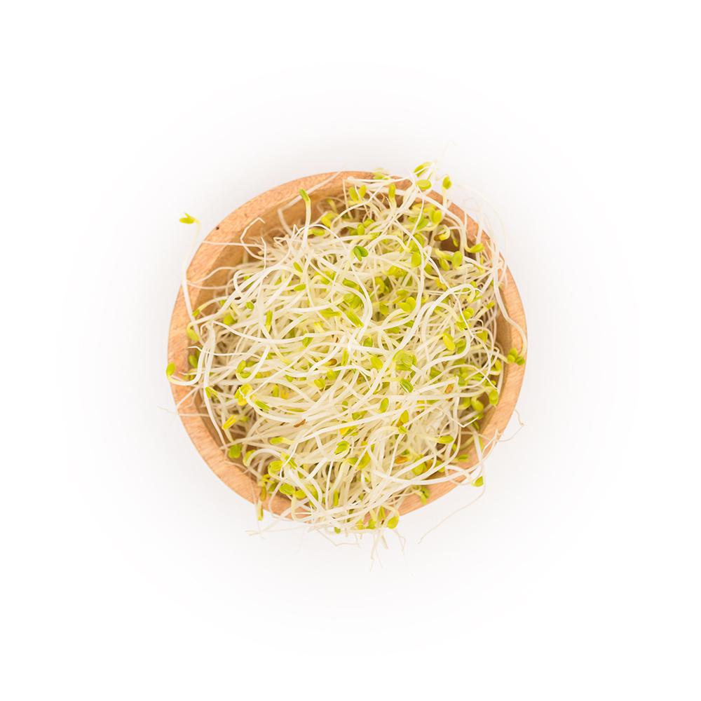 Fresh Wheatgrass & Micro-Greens – Delivered - Sproutman