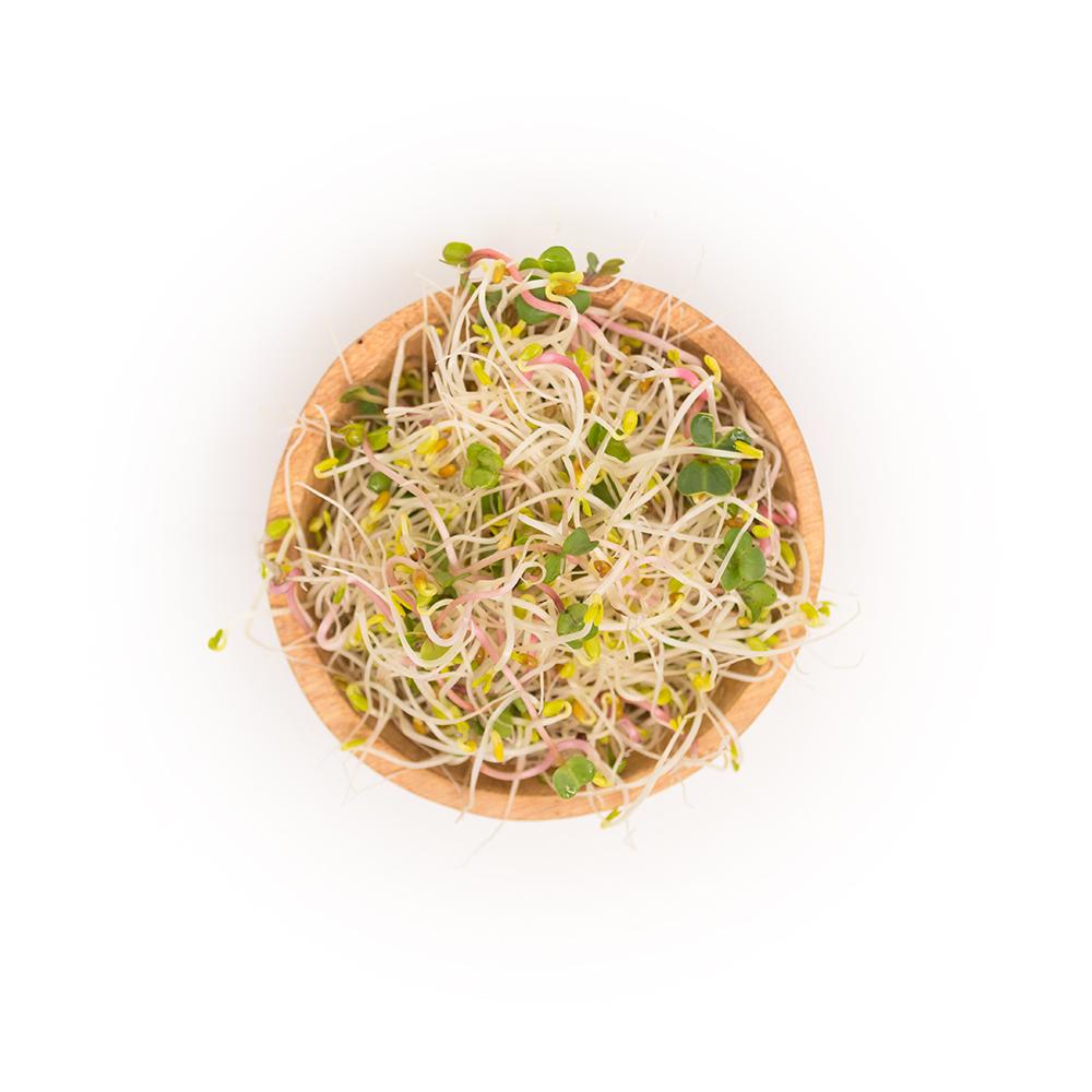 Fresh Wheatgrass & Micro-Greens – Delivered - Sproutman