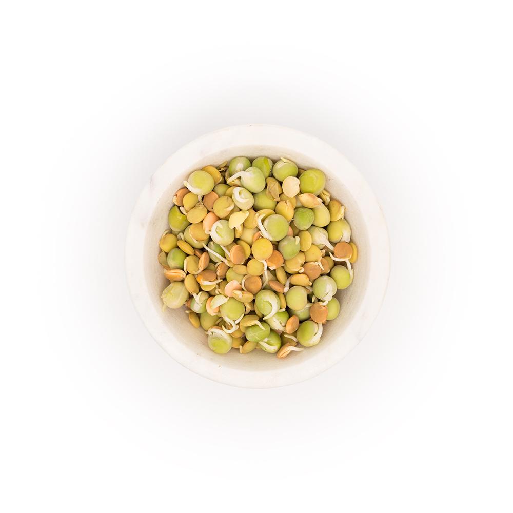 Fresh Wheatgrass & Micro-Greens – Delivered - Sproutman