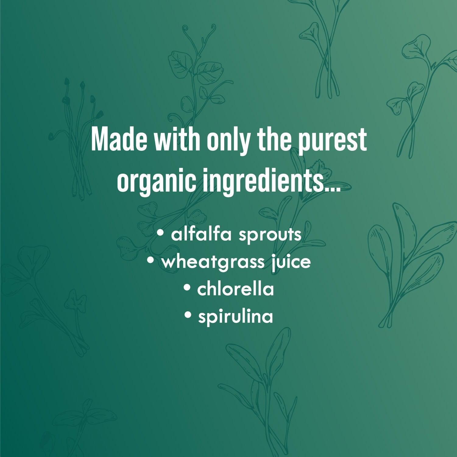 Green Fuel Sprout Powder - Sproutman