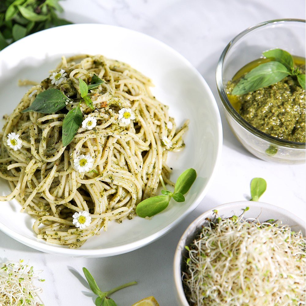 Organic Alfalfa Sprouting Seed - Sproutman