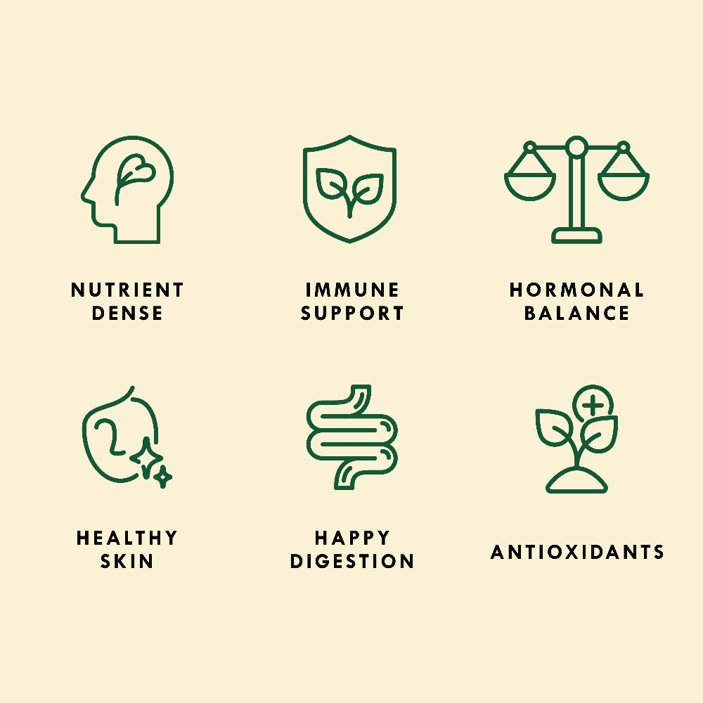 Organic Alfalfa Sprouting Seed - Sproutman