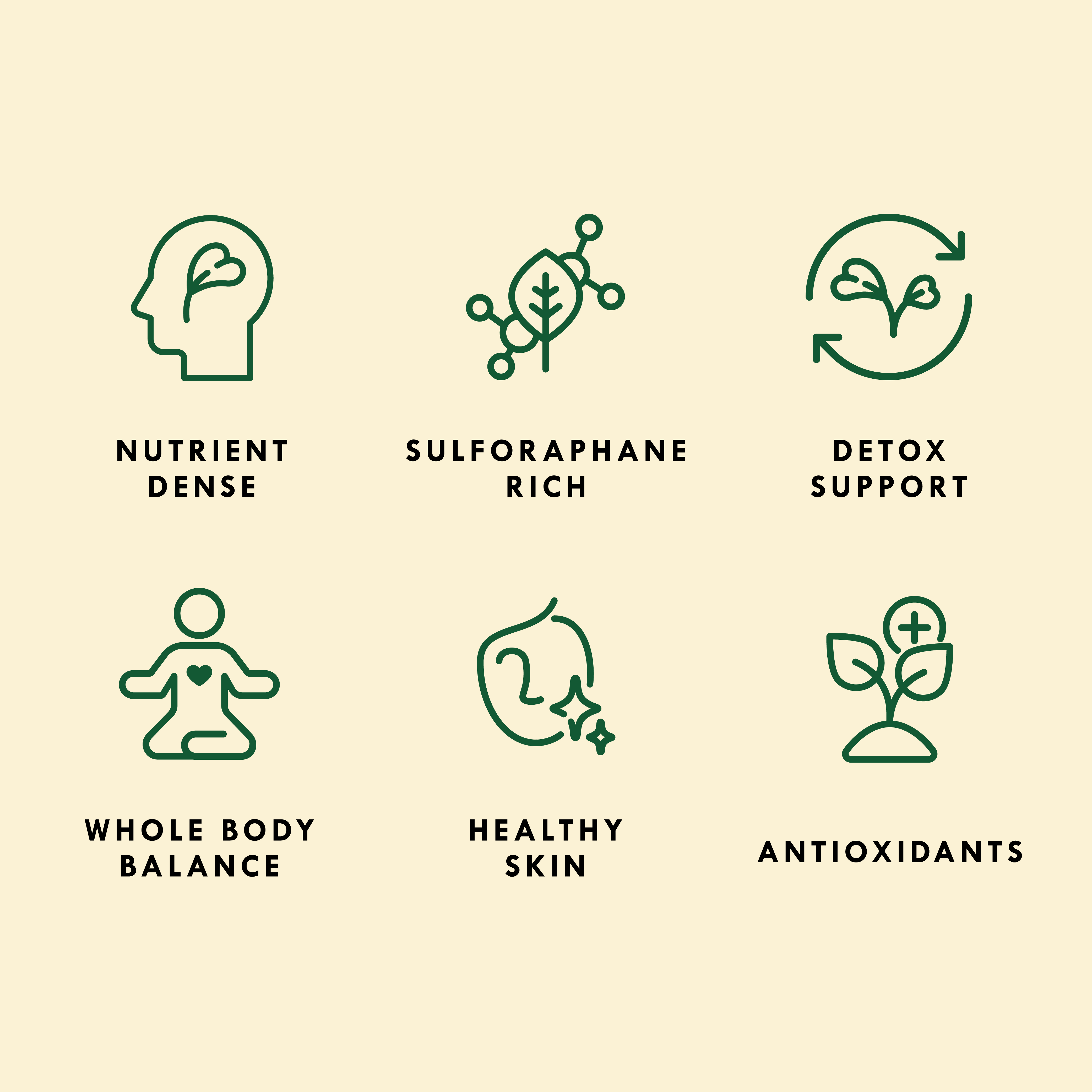 Organic Broccoli Sprouting Seed - Sproutman