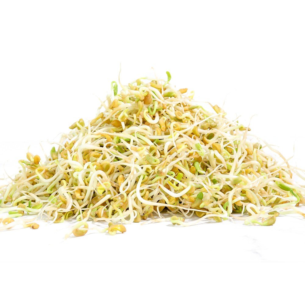 Organic Fenugreek Sprouting Seed - Sproutman