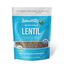 Organic Lentil Sprouting Seed - Sproutman