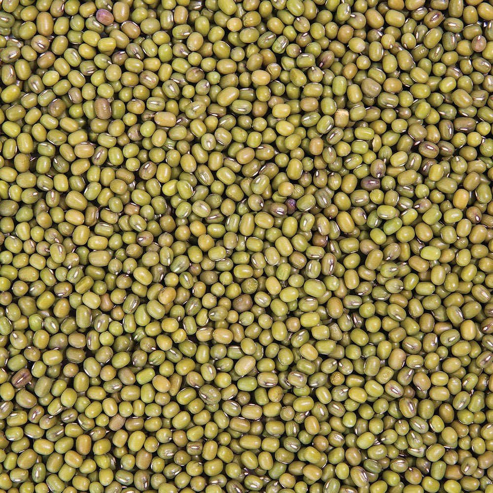 Organic Mung Bean Sprouting Seed - Sproutman