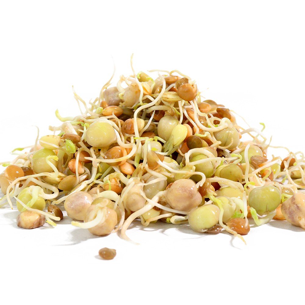 Organic Power Protein Sprouting Seed - Sproutman