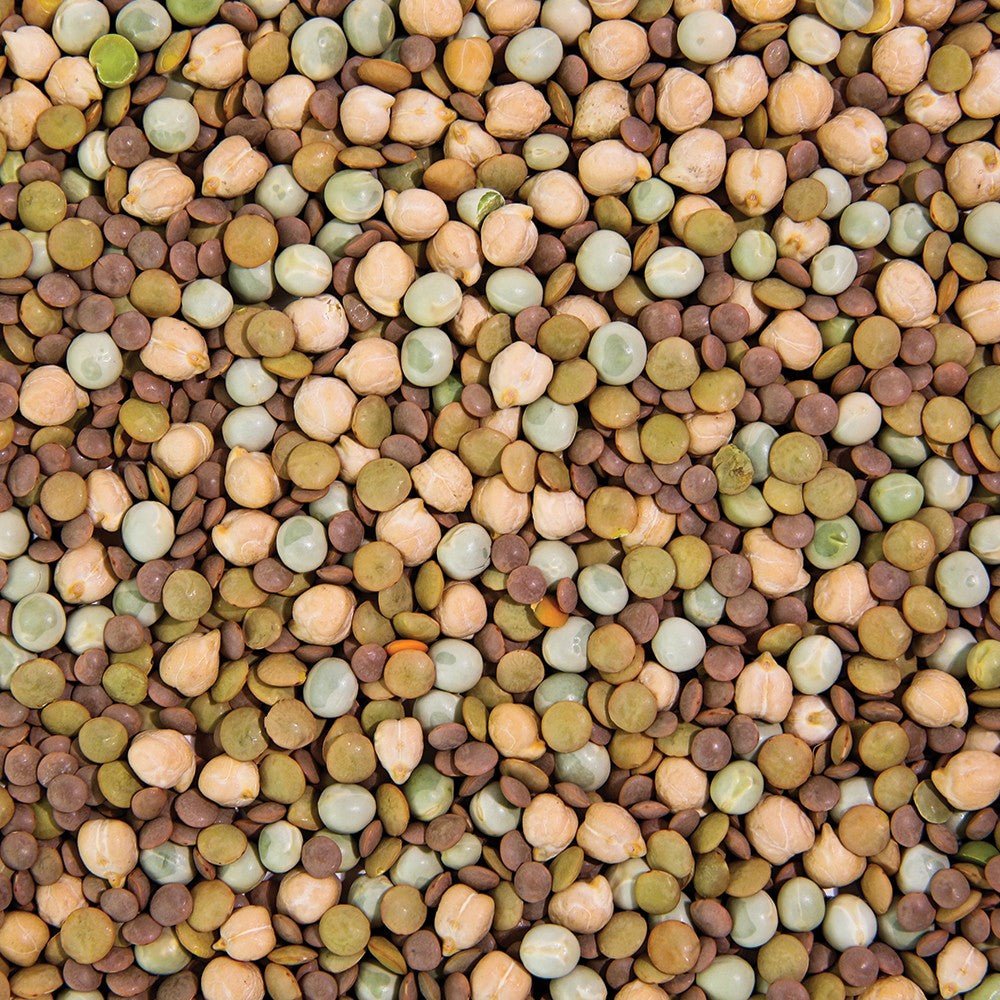 Organic Power Protein Sprouting Seed - Sproutman