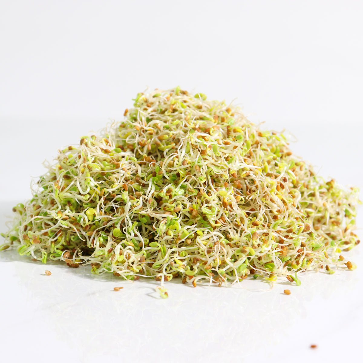 Organic Red Clover Sprouting Seed - Sproutman
