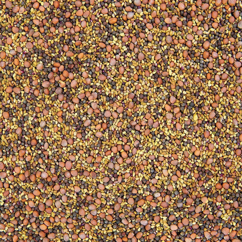 Organic Salad Mix Sprouting Seed - Sproutman