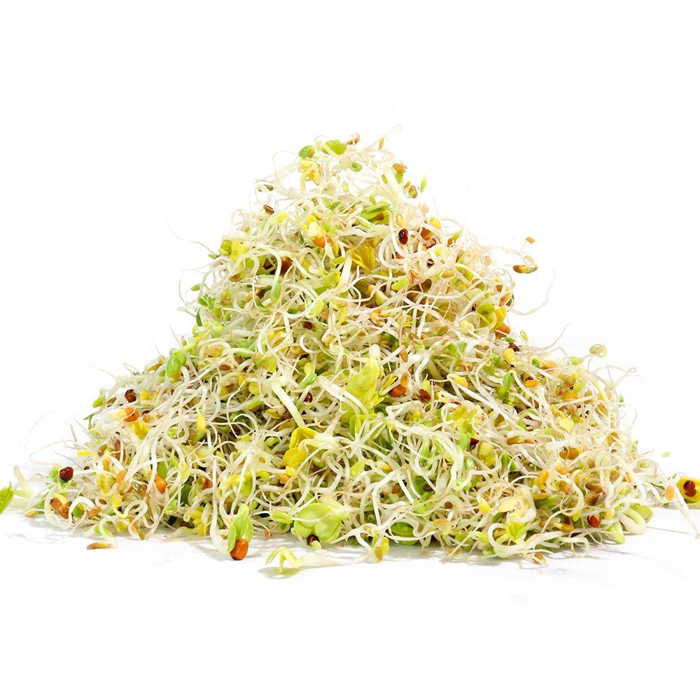 Organic Salad Mix Sprouting Seed - Sproutman