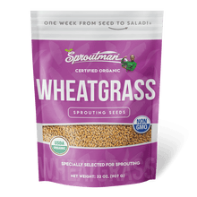 Organic Wheatgrass Sprouting Seed - Sproutman