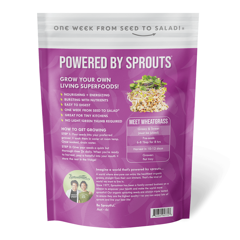 Organic Wheatgrass Sprouting Seed - Sproutman