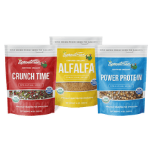 Plant Protein Starter Kit - Sproutman