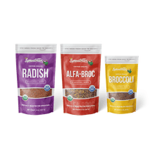 Sulforaphane Superstar Kit - Sproutman