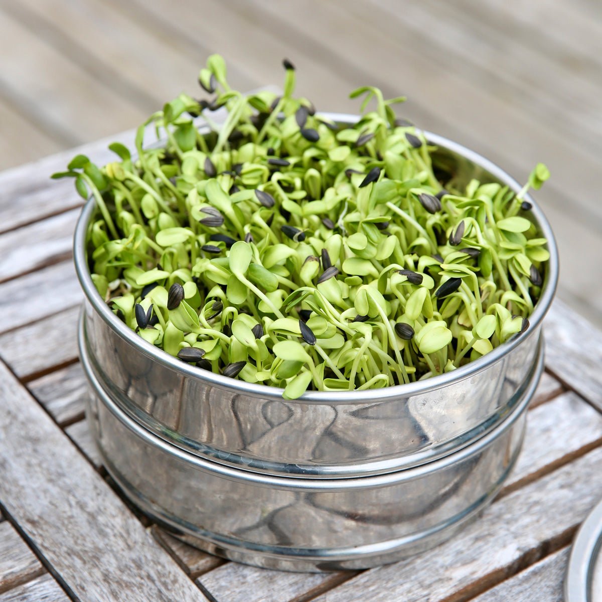 Turio Expandable Sprout Tower - Sproutman