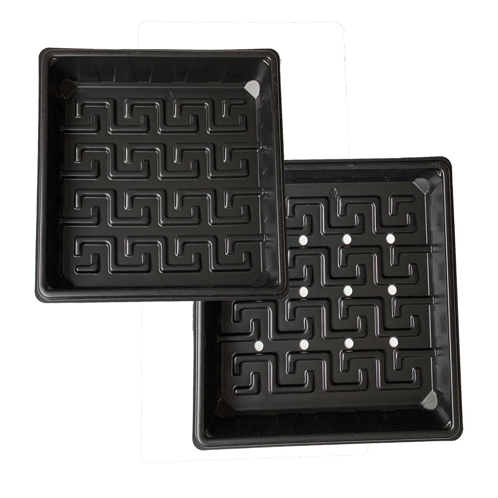 10x10 Microgreen Tray