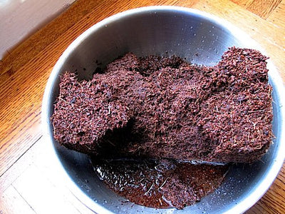 Coconut Coir Growing Medium - Sproutman