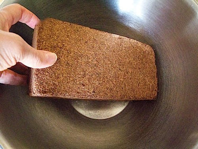 Coconut Coir Growing Medium - Sproutman