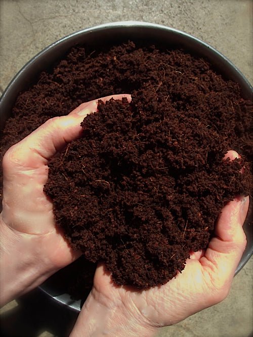 Coconut Coir Growing Medium - Sproutman