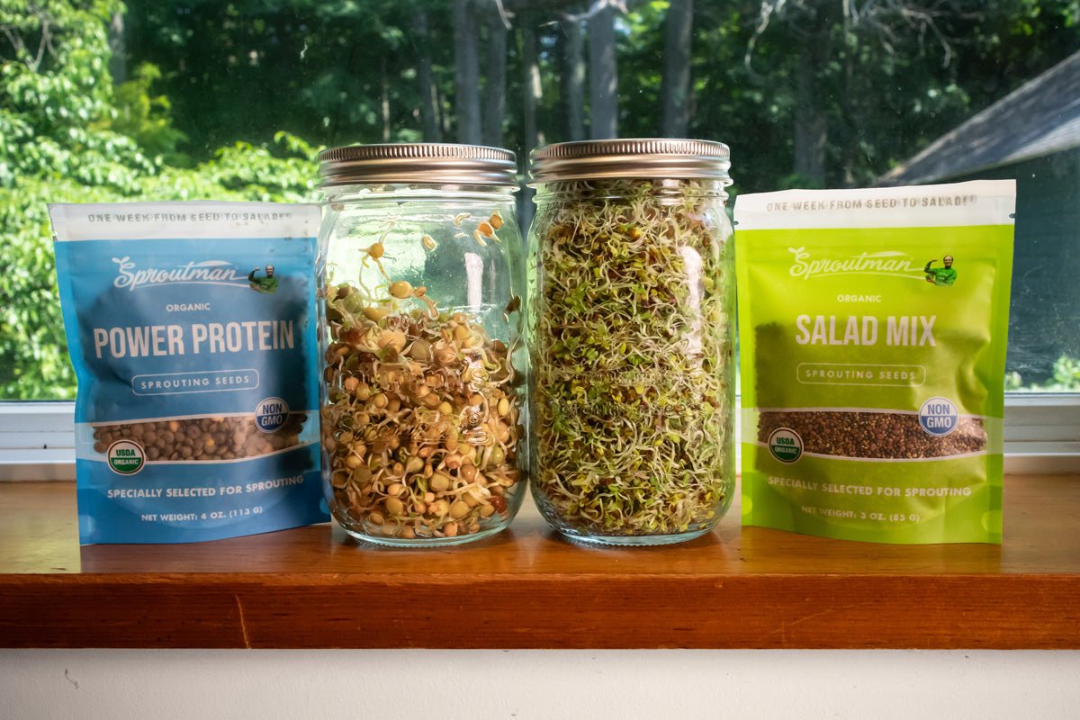 Double Jar Sprouting Starter Kit - Sproutman