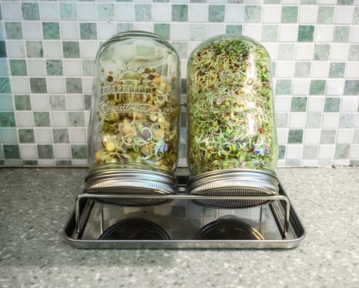 Double Jar Sprouting Starter Kit - Sproutman