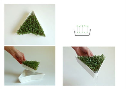 Euro Tray Sprouter - Sproutman