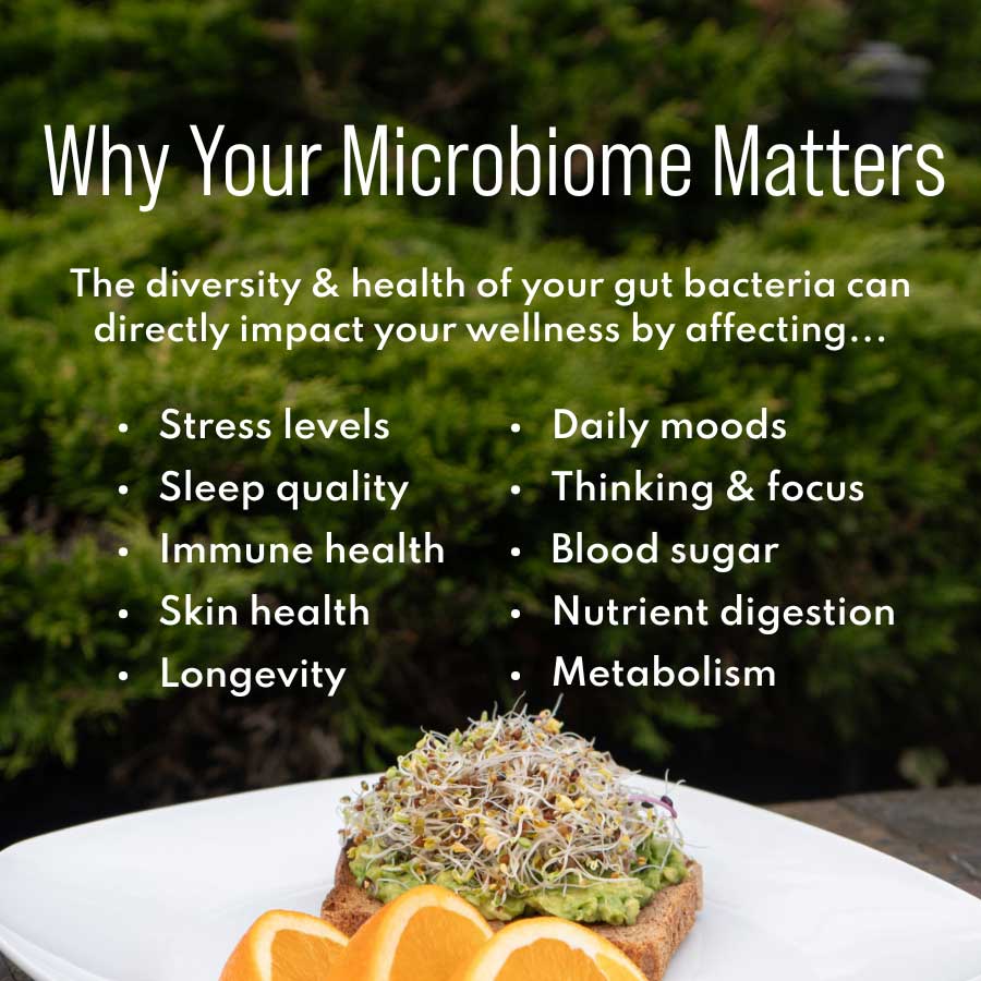 Happy Gut Microbiome Blend - Sproutman