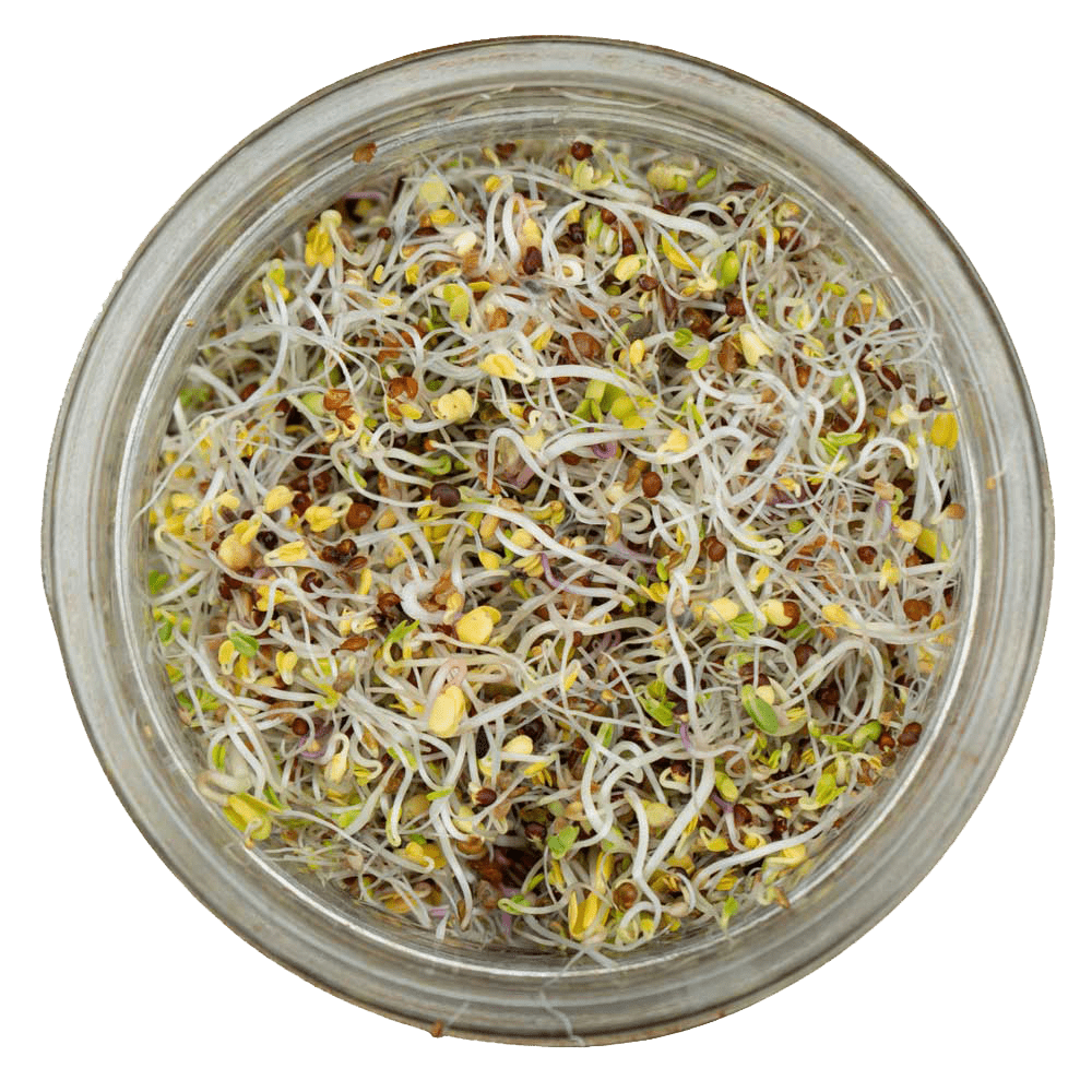 Happy Gut Microbiome Blend - Sproutman