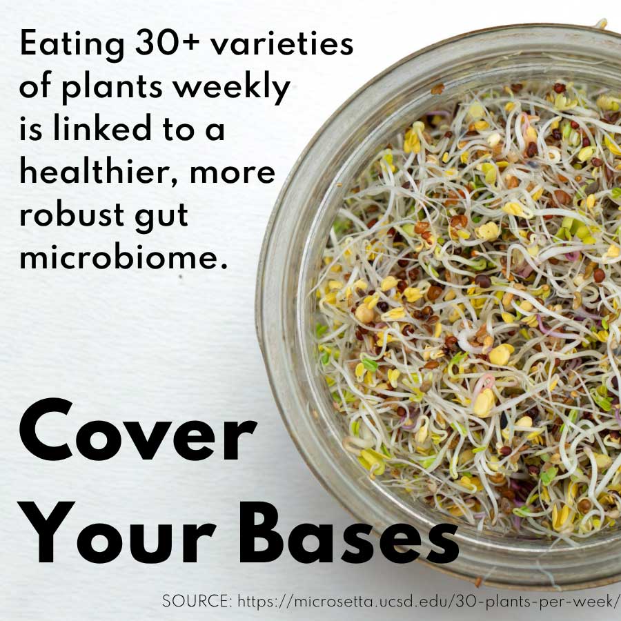 Happy Gut Microbiome Blend - Sproutman
