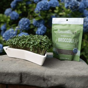 Organic Broccoli Microgreen Seed - Sproutman