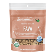 Organic Fava Microgreen Seed - Sproutman
