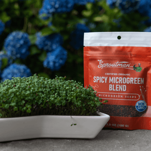 Organic Spicy Microgreen Blend Seed - Sproutman