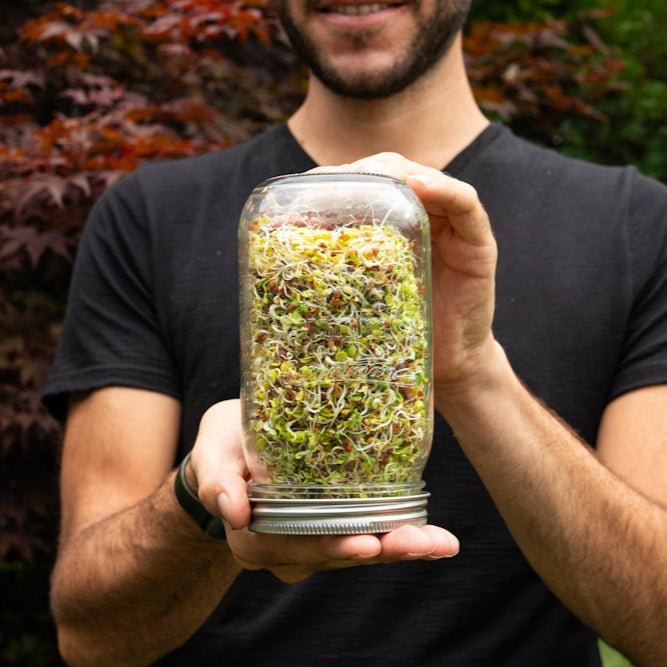 Sprouting Jar - 32 oz - Sproutman