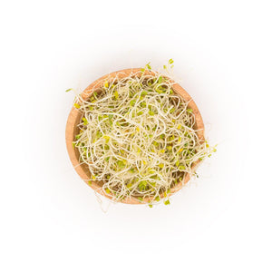 Fresh Wheatgrass & Micro-Greens – Delivered - Sproutman