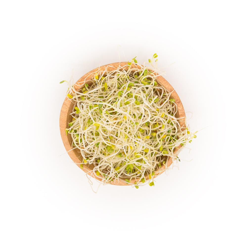 Fresh Wheatgrass & MicroGreens Delivered Sproutman