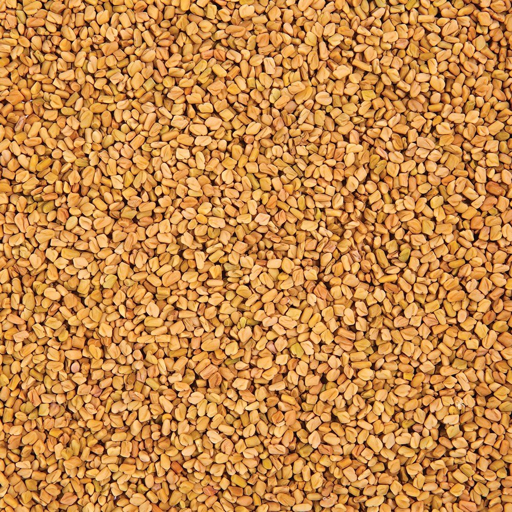 Organic Fenugreek Sprouting Seed - Sproutman