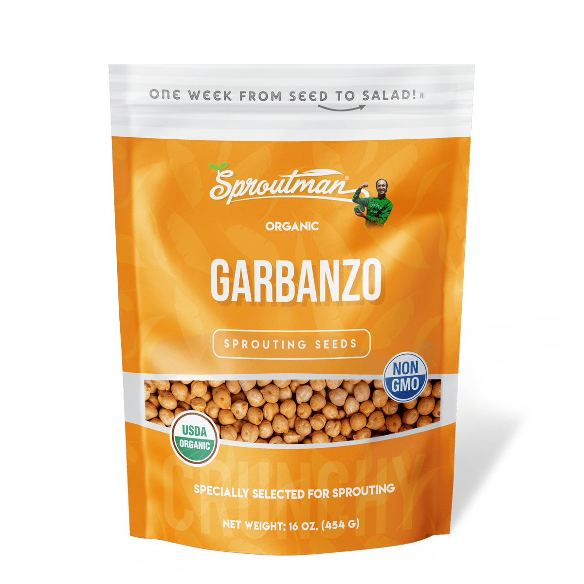 garbanzo bean seeds for planting Organic Garbanzo Bean Sprouting Seed