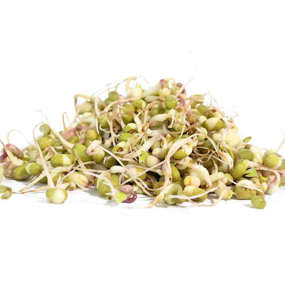 Organic Mung Bean Sprouting Seed - Sproutman